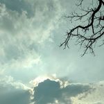 Harry Adamson - @harry_is_bored___ - Instagram