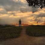 harry Adamson - @dr.hadamson - Instagram