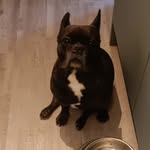 Harry Albright - @harryalbright - Instagram