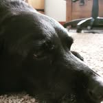Harry Allison - @harold_yeet09 - Instagram