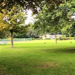@harryallison576 - Instagram