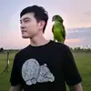 Harry James - @harryamesj5440 - TikTok