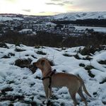harry augustine - @harryaugustine12 - Instagram