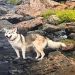 Harry Backfisch - @backfischharry - Instagram