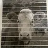 huntch_back_harry - @huntch_back_harry - TikTok