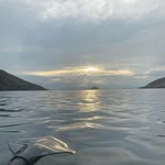 Harry Baden - @harry.baden - Instagram