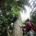 Harry Baldwin - @baldwin5084 - Instagram