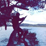 Harry Barton - @harry_barton101 - Instagram