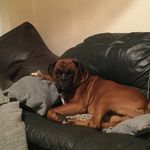 Harry Barton - @harrybarton4843 - Instagram