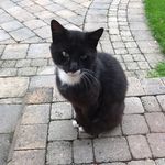 Harry Barton - @harry.barton123 - Instagram
