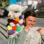 @harrybarton - Instagram