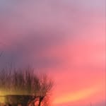 Harry Baugh - @harry.baugh - Instagram