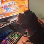 Harry Beard - @harrylandsharkbeard - Instagram
