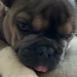 Harrybeard203 - @harry.beard.79 - Instagram