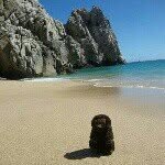 Harry Beaver - @harrybeavervacations - Instagram