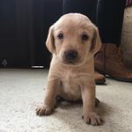 Harry - @harry.benton0 - Instagram