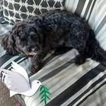 harry berger - @harry.berger - Instagram