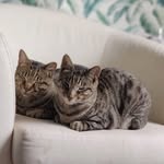 Harry&Bernard - @harry_and_bernard - Instagram