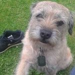 Harry Betts - @harrybetts2011 - Instagram