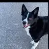 Harry Blum - @harry.blum - TikTok