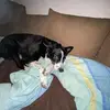 harryblum360 - @harryblum360 - TikTok