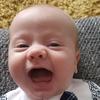 harry.boardman08 - @harry.boardman08 - TikTok