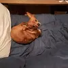 Harry Bowker - @harry.bowker5 - TikTok