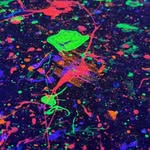 Harry Braun - @braun_harry - Instagram