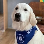 Harry Braun - @brauninho75 - Instagram