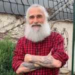 Harald Klein - @harrybullitt - Instagram