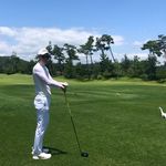 Harry Bull - @whycowsgomoo - Instagram