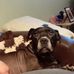 Harry Bull - Facebook