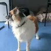 Harry Bullock - @harry.bullock57 - TikTok