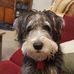 Harry Busch - Facebook