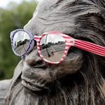Harry Bushman - @sarcastic.sasquatch - Instagram