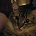 Harry Buzzard - Facebook