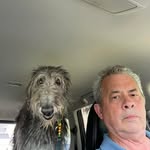 Harry Cable - @cableharry - Instagram
