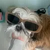 harry cabral - @harrycaostyles - TikTok