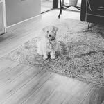 Harry casey - @harrycasey982 - Instagram