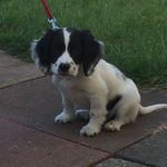 Harry Cave - @12harry.cave - Instagram