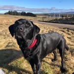 Harry Chalmers - @harry.chalmers10 - Instagram