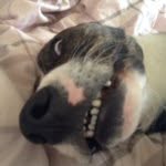 @harrychalmers57 - Instagram