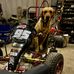 Harry Chappell - Facebook