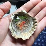Harry Chatman - @harrychatman689410 - Instagram