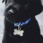 Harry Chavez - @harrychavez357 - Instagram