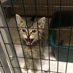 Harry Earl Chenoweth - @harry_earl_chenoweth - Instagram