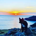 Harry Chester - @harry_chester - Instagram