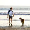 harry___chien__ - @harry___chien__ - TikTok