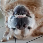 Harry - @harry_chienchien - Instagram