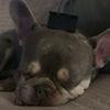 Harry_Chilcott_BackupAcc 🎸 - @h_chilcott_backupacc - TikTok